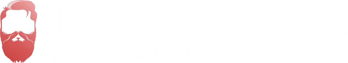 Barbarossa Digital Marketing